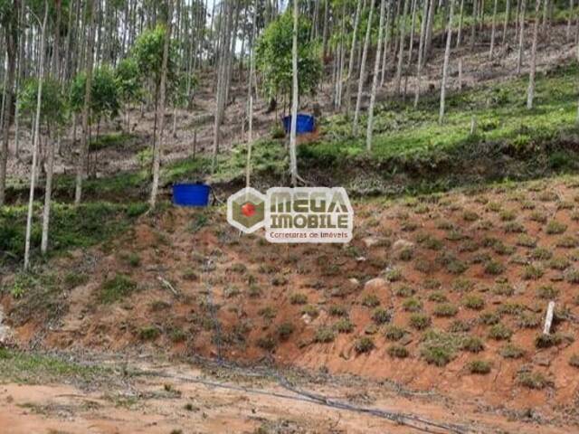 #3530 - Área para Venda em Águas Mornas - SC - 3